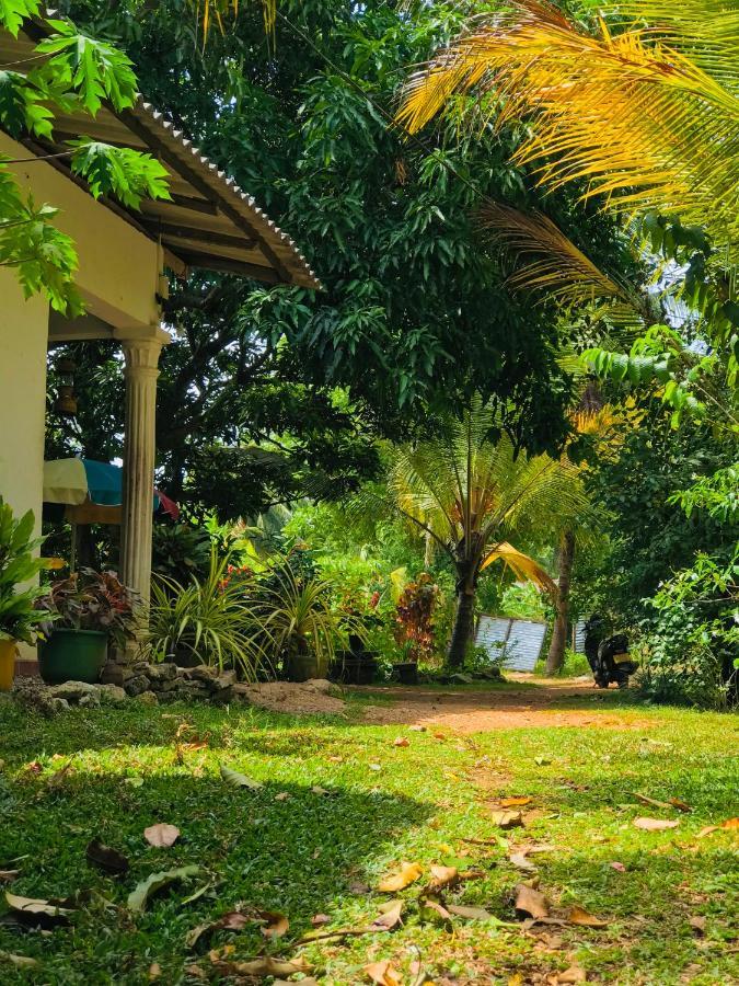 Sigiri Lakshan Home Stay Sigiriya Exteriér fotografie