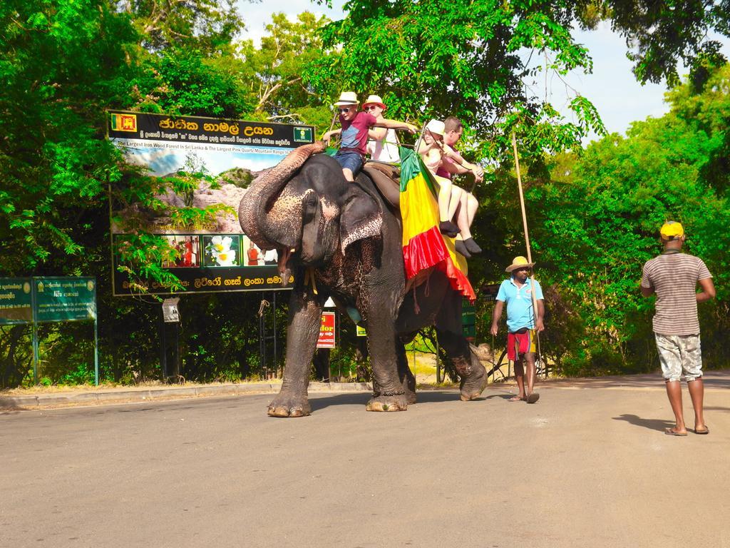 Sigiri Lakshan Home Stay Sigiriya Exteriér fotografie