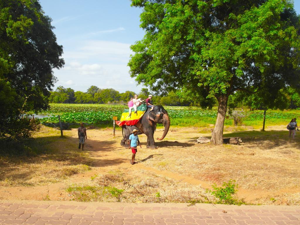Sigiri Lakshan Home Stay Sigiriya Exteriér fotografie